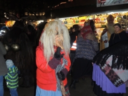 Adventmarkt Linz Volksgarten