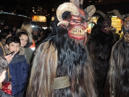 Adventmarkt Linz Volksgarten