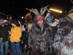 Adventmarkt Linz Volksgarten