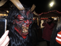 Adventmarkt Linz Volksgarten