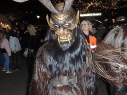 Adventmarkt Linz Volksgarten