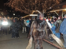 Adventmarkt Linz Volksgarten