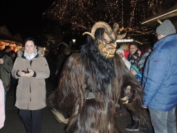 Adventmarkt Linz Volksgarten
