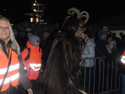 Adventmarkt Linz Volksgarten