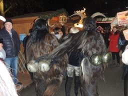 Adventmarkt Linz Volksgarten