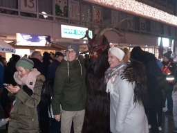 Adventmarkt Leonding