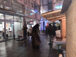 Adventmarkt Leonding