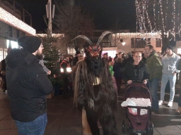 Adventmarkt Leonding