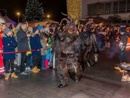 Adventmarkt Leonding