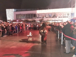 Adventmarkt Leonding