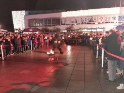 Adventmarkt Leonding