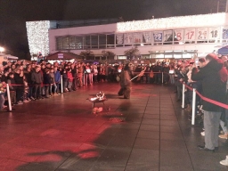 Adventmarkt Leonding