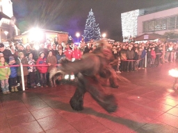 Adventmarkt Leonding