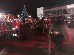 Adventmarkt Leonding