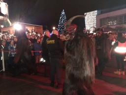 Adventmarkt Leonding