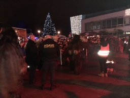 Adventmarkt Leonding