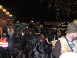 Adventmarkt Linz Volksgarten