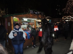 Adventmarkt Linz Volksgarten