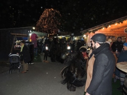Adventmarkt Linz Volksgarten