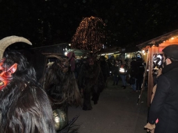 Adventmarkt Linz Volksgarten