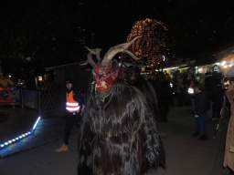 Adventmarkt Linz Volksgarten