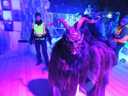Adventmarkt Linz Volksgarten