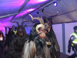 Adventmarkt Linz Volksgarten