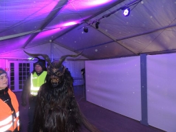 Adventmarkt Linz Volksgarten