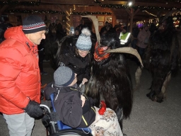 Adventmarkt Linz Volksgarten