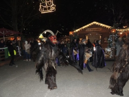 Adventmarkt Linz Volksgarten