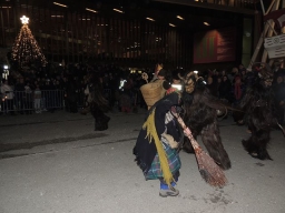 Adventmarkt Linz Volksgarten