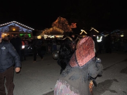 Adventmarkt Linz Volksgarten