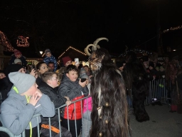 Adventmarkt Linz Volksgarten