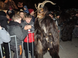 Adventmarkt Linz Volksgarten