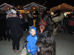 Adventmarkt Linz Volksgarten
