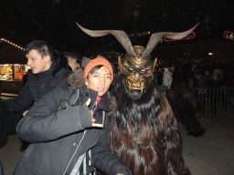 Adventmarkt Linz Volksgarten