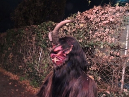 Gehörlosenverein Linz