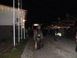Adventmarkt Doppl