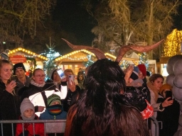 Adventmarkt Linz Volksgarten