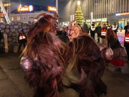 Adventmarkt Linz Volksgarten