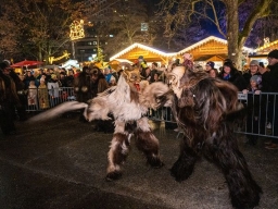 Adventmarkt Linz Volksgarten