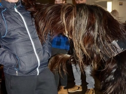 Adventmarkt Eberschwang