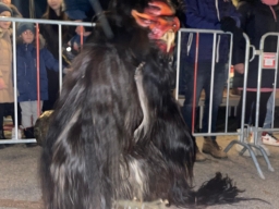 Adventmarkt Doppl