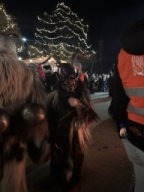 Adventmarkt Doppl