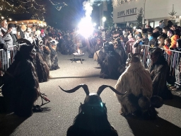 Adventmarkt Doppl