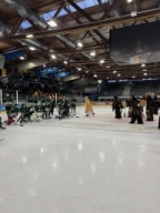 ASKÖ Grizzlies Linz