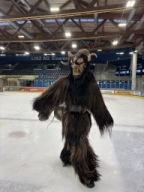 ASKÖ Grizzlies Linz