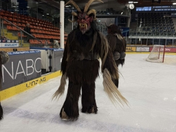 ASKÖ Grizzlies Linz