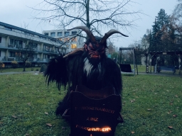 Haus der Senioren Linz