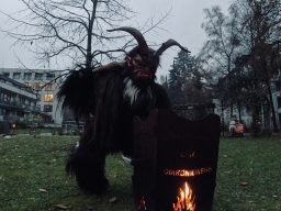 Haus der Senioren Linz